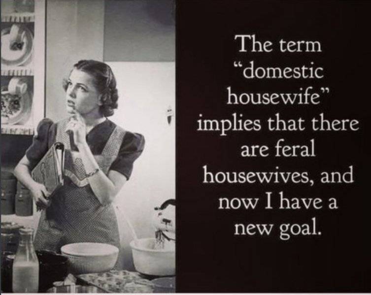 house wife.jpeg