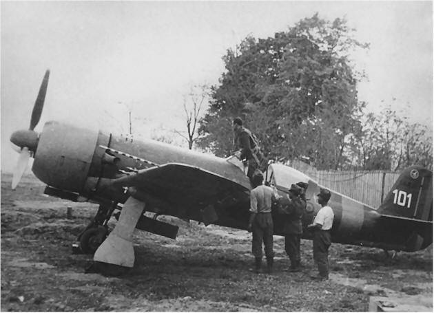 iar80_09.jpg