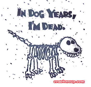 in_dog_years.jpg