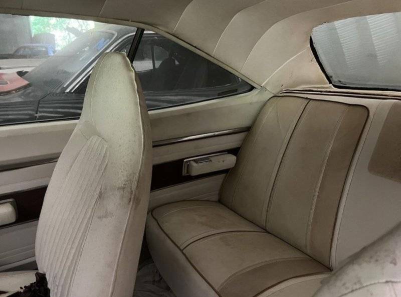 Interior-Back-Seat.jpg