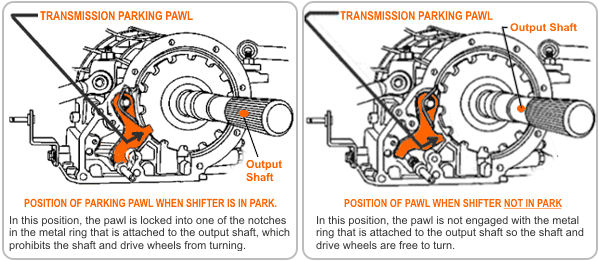 ion.com%2Fwp-content%2Fuploads%2F2019%2F09%2Fe9686848-pawl-in-notin-park_0go07a0gn079000000001-1.png