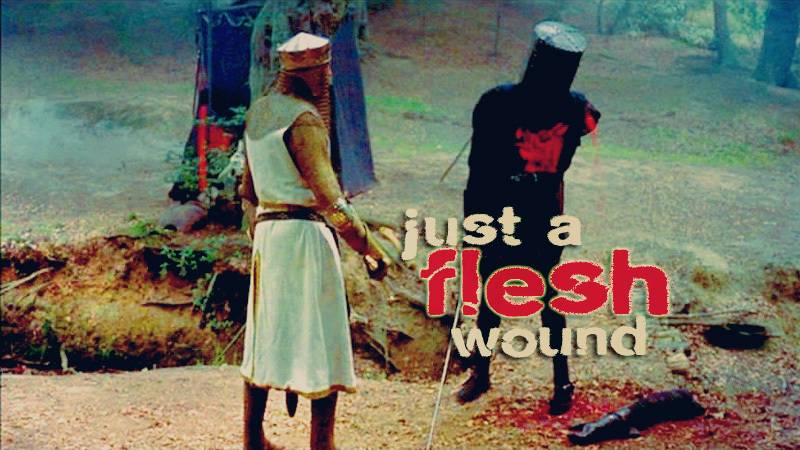 Just-A-Flesh-Wound-monty-python-and-the-holy-grail-4964886-800-450.jpg