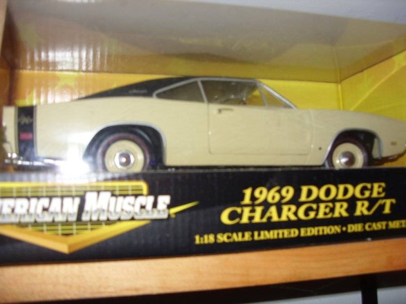 LAST 118 SCALE CAR PICS 004.JPG