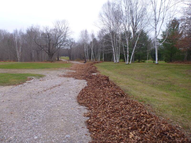 leafcleanupnov52020 032.JPG