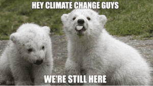 Liberal Climate Change Polar Bears hoax-lies cubs.png