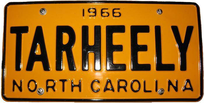 License plate (reduced).jpg