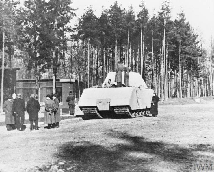 maus_essai-741x593.jpg