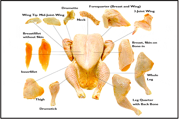 Meat Chicken meat cuts.gif