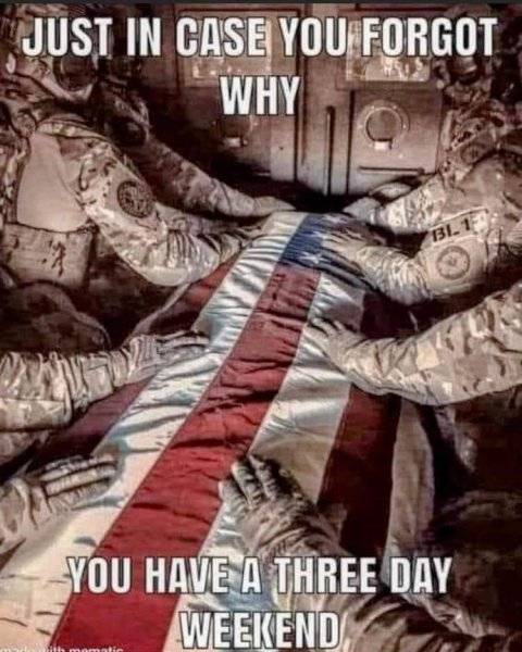 Memorial Day Just In Case You Forgot Why We Have A 3 Day Weekend.jpg