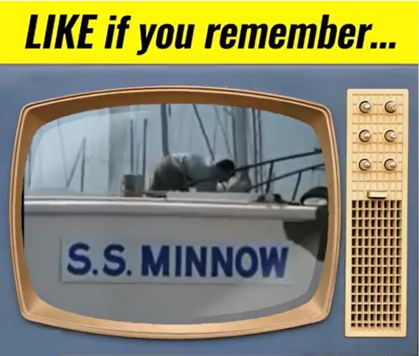 minnow.jpg