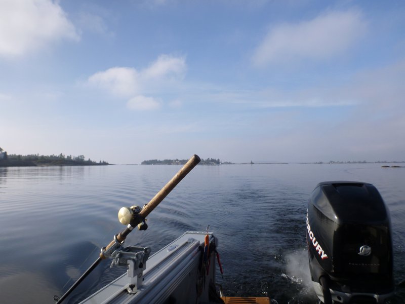 muskyfishdec52015 006.JPG