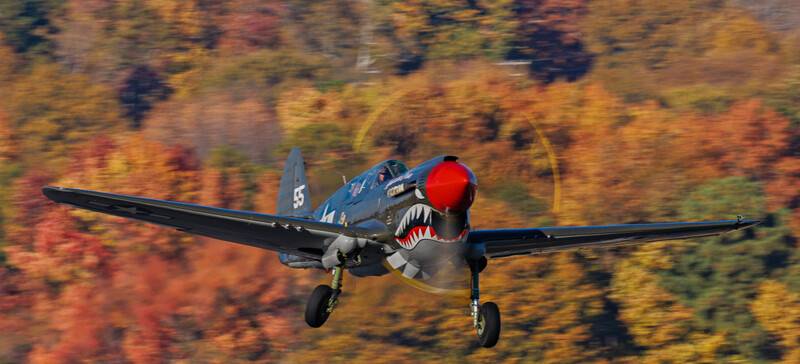 P-40-leaves.jpg