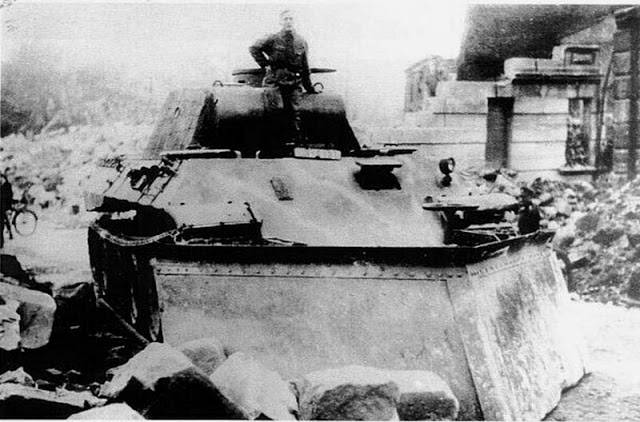 Panther+Ausf+D+Dozer+002.jpg