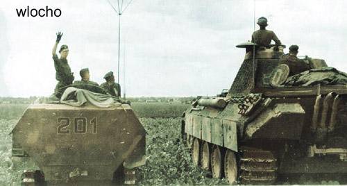 panther_sdkfz251D.jpg