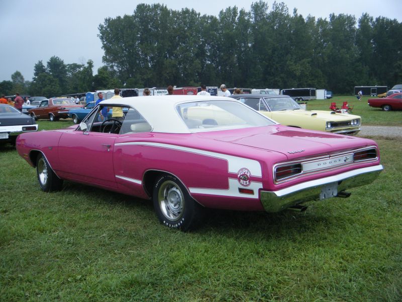 pink auto column 5.jpg