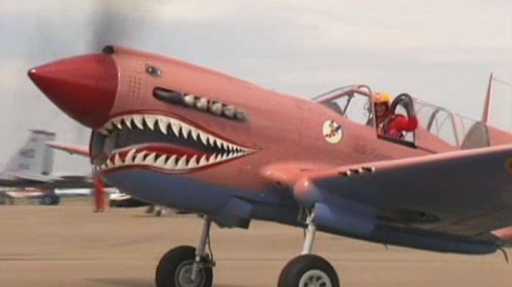 pink-p-40-flying-tiger-video-735x413.jpg