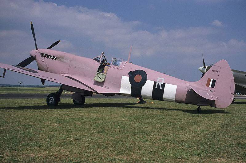 pink-spitfire-picture.jpg