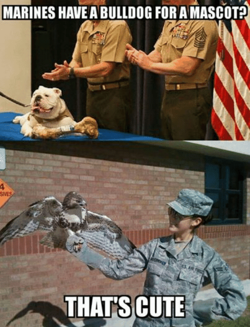 Quotes Miliatry Mariens Have a Bulldog USAF an Eagle.png