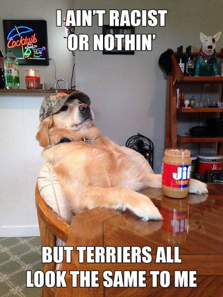 redneck-retriever-memes1.jpg