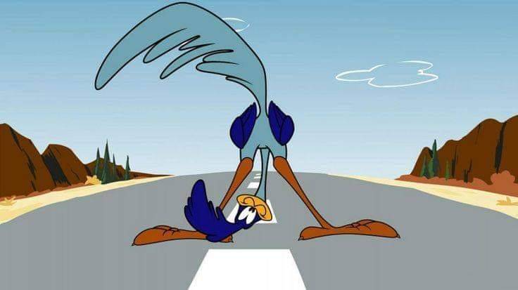 Road Runner N2c.jpg