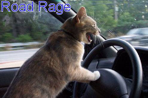 roadrage.jpg