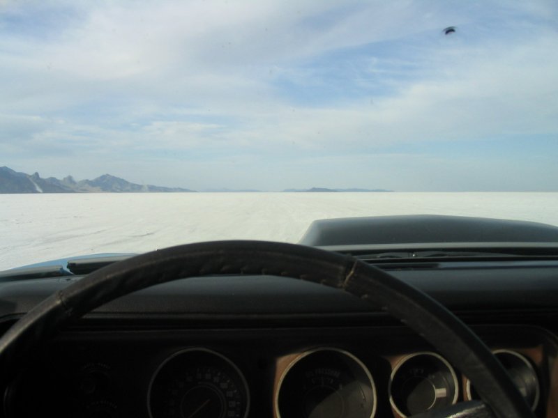 SaltWindshield2 copy 2.JPG