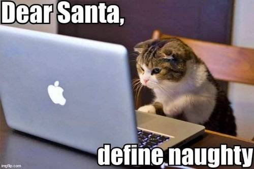 santa cat define naughy.jpg