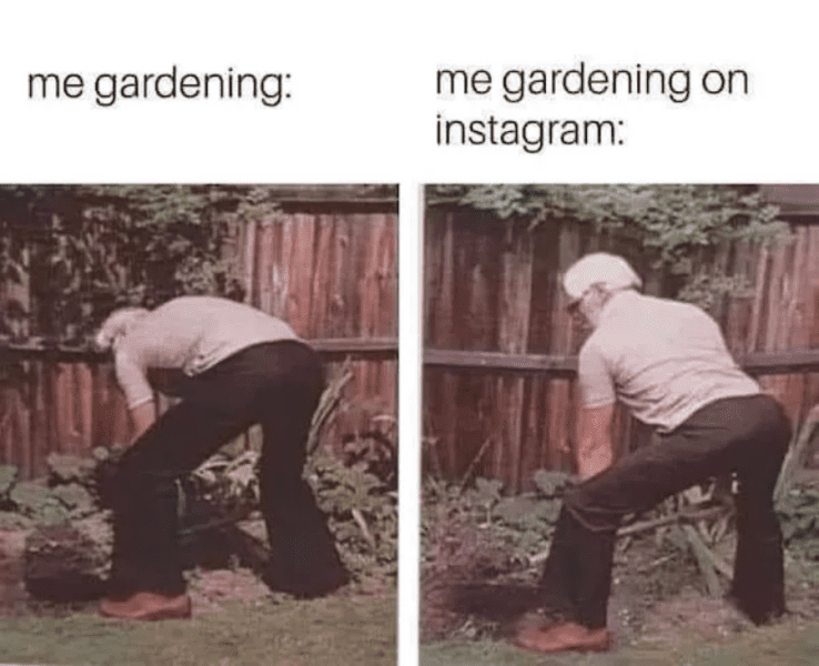 Screenshot 2024-08-18 at 13-40-30 pants-gardening-gardening-on-instagram.jpg (WEBP Image 600 ×...png