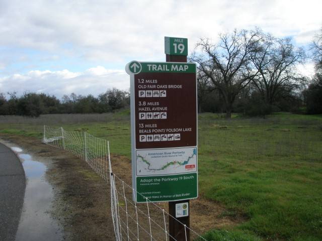 Sheep On Trail & Signs 009 (Small).JPG