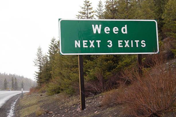 Signs Weed CA..jpg