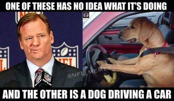 Smiley a dog driving a car & no clue Roger Goodell.jpg