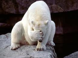 Smiley Facepalm Polar Bear.jpg