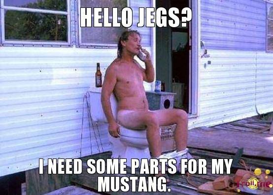 Smiley Hello Jegs I need parts for my Mustang.jpg