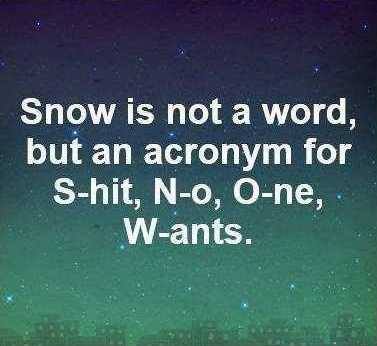 Smiley SNOW acronym for **** No One Wants.jpg