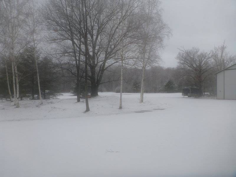 snowapril152019 002.JPG