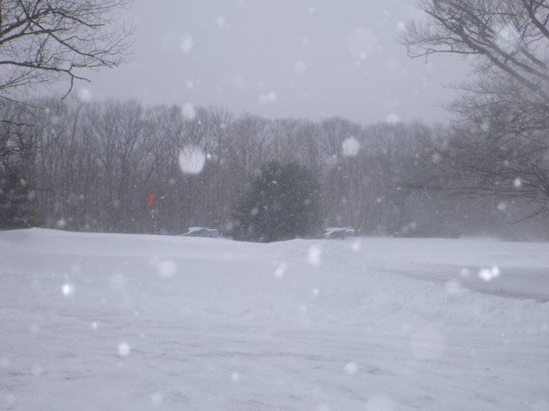 snowfeb272020 001.JPG