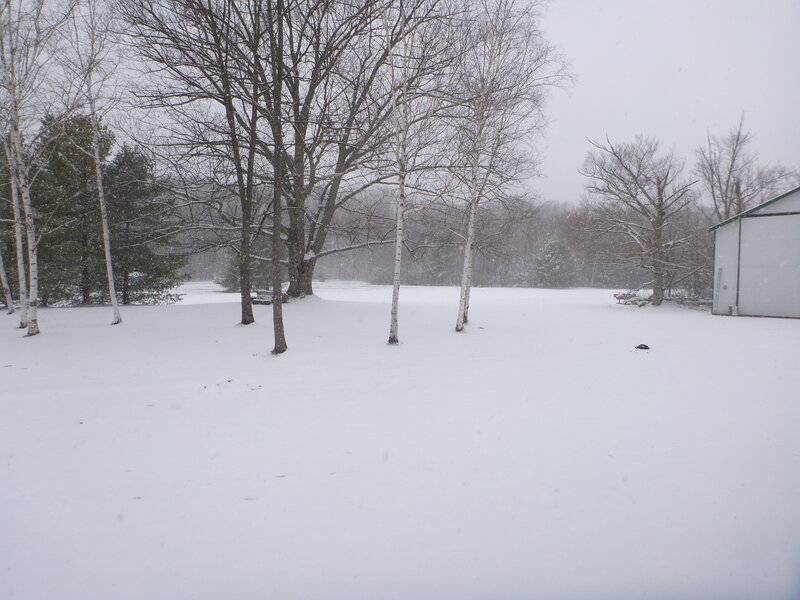 snowmay92020 003.JPG