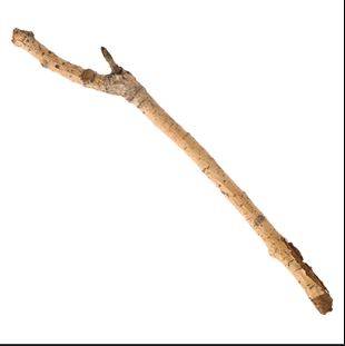 stick.JPG