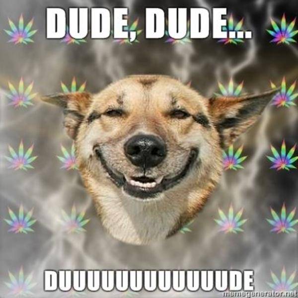 Stoner-Dog-DUDE.jpg