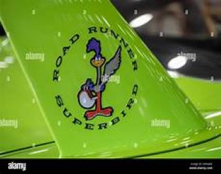 Superbird Wing (Phone).jpg