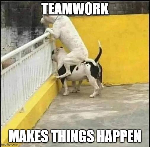 Teamwork.jpg