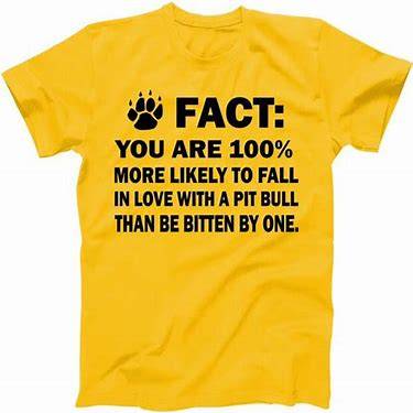 Tee-shirt Fall in love with a Pitbull than bitten by 1.jpg