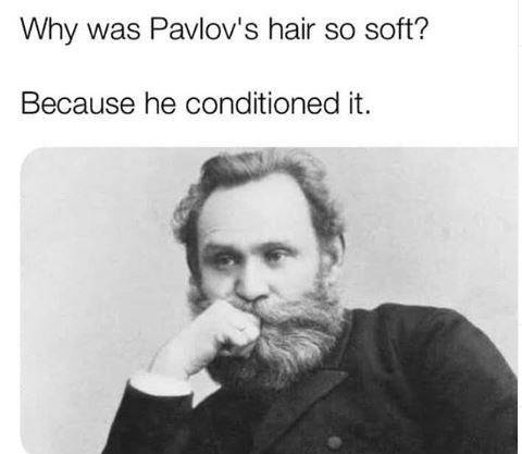 text-why-was-pavlovs-hair-so-soft-because-he-conditioned-it.jpeg