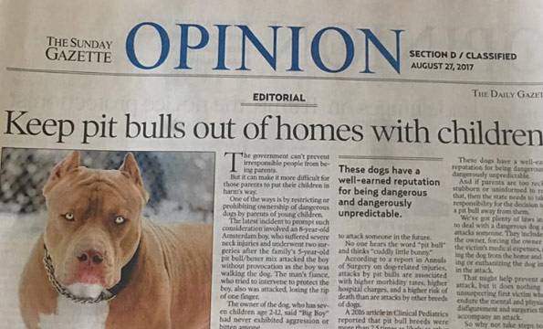 the-daily-gazette-keep-pit-bulls-away-from-kids.jpg