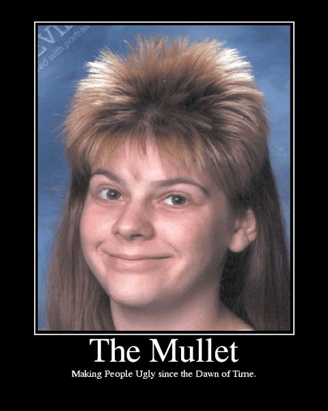 TheMullet.png