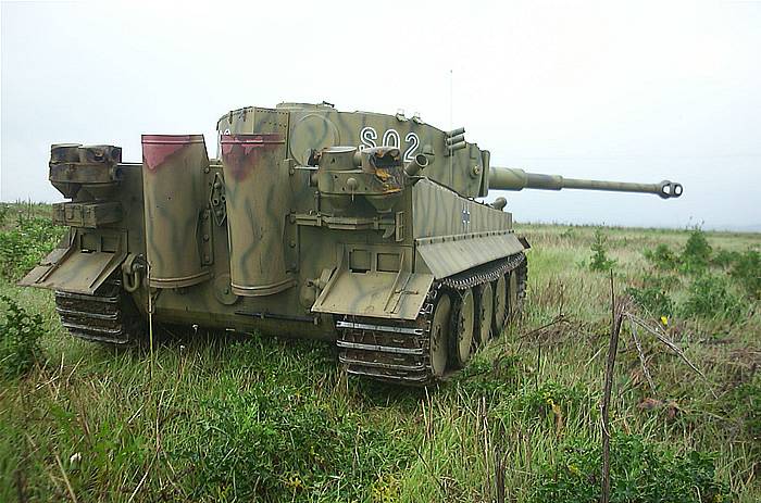 tiger-1-3025b.jpg