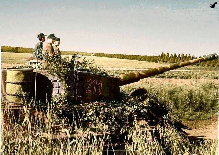 Tiger_in_Normandy_1944.jpg