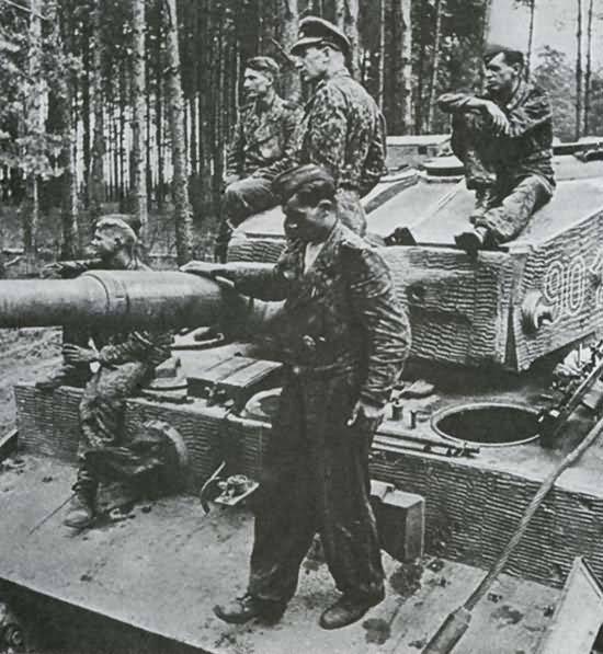 Tiger_tank_number_901_waffen_ss.jpg