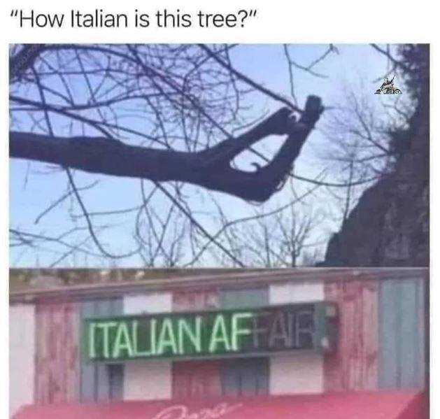 Tree.jpg