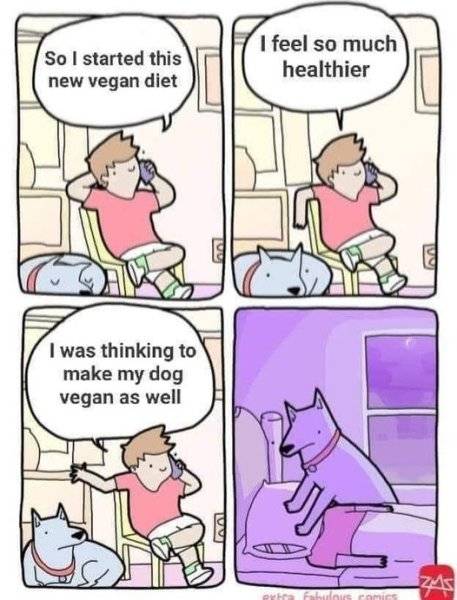 Vegan Dog.jpg